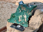 Polished On One Side Mtorolite Chrysoprase Slices x 3 From Mutorashanga, Zimbabwe - Toprock Gemstones and Minerals 