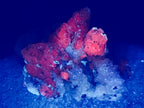Natural Large Calcite Cluster Specimens x 2 From Albert's Mountain, Lesotho - Toprock Gemstones and Minerals 