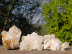 Natural Cascading "Anananas" Candle Quartz Clusters x 12 From Antsirabe, Madagascar - Toprock Gemstones and Minerals 