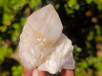 Natural Cascading "Anananas" Candle Quartz Clusters x 12 From Antsirabe, Madagascar - Toprock Gemstones and Minerals 