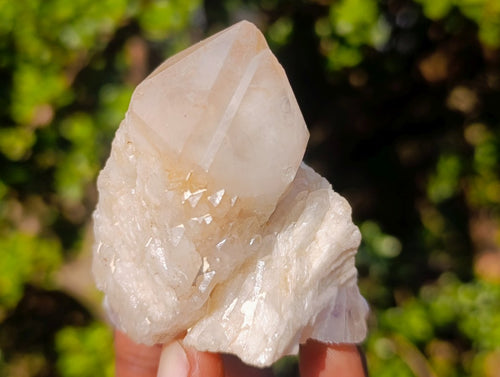 Natural Cascading "Anananas" Candle Quartz Clusters x 12 From Antsirabe, Madagascar - Toprock Gemstones and Minerals 