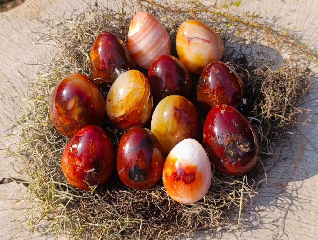 Polished Carnelian Agate Gemstone Eggs x 12 From Madagascar - Toprock Gemstones and Minerals 