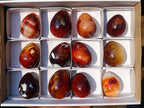 Polished Carnelian Agate Gemstone Eggs x 12 From Madagascar - Toprock Gemstones and Minerals 
