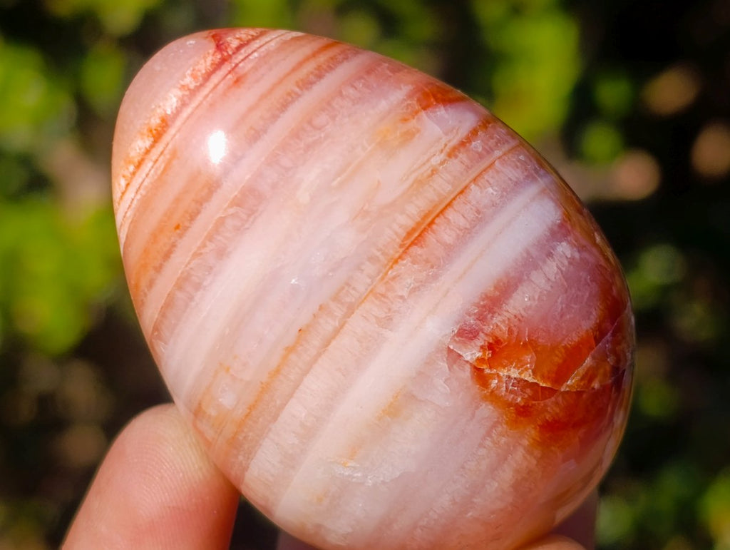 Polished Carnelian Agate Gemstone Eggs x 12 From Madagascar - Toprock Gemstones and Minerals 