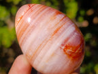 Polished Carnelian Agate Gemstone Eggs x 12 From Madagascar - Toprock Gemstones and Minerals 
