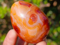 Polished Carnelian Agate Gemstone Eggs x 12 From Madagascar - Toprock Gemstones and Minerals 