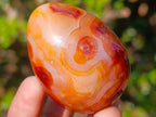 Polished Carnelian Agate Gemstone Eggs x 12 From Madagascar - Toprock Gemstones and Minerals 