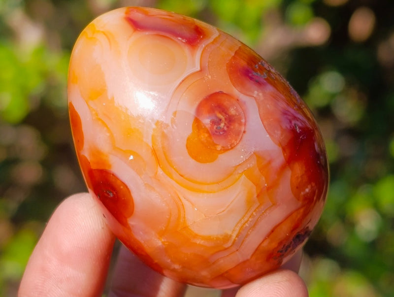 Polished Carnelian Agate Gemstone Eggs x 12 From Madagascar - Toprock Gemstones and Minerals 