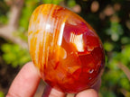 Polished Carnelian Agate Gemstone Eggs x 12 From Madagascar - Toprock Gemstones and Minerals 