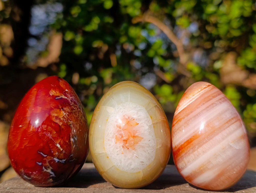 Polished Carnelian Agate Gemstone Eggs x 12 From Madagascar - Toprock Gemstones and Minerals 