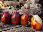 Polished Carnelian Agate Gemstone Eggs x 12 From Madagascar - Toprock Gemstones and Minerals 