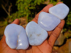 Polished Blue Lace Agate Free Forms x 37 From Nsanje, Malawi - Toprock Gemstones and Minerals 