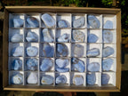 Polished Blue Lace Agate Free Forms x 37 From Nsanje, Malawi - Toprock Gemstones and Minerals 