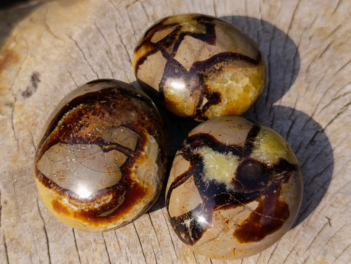 Polished Mixed Multi Mineral Galets x 12 From Madagascar - Toprock Gemstones and Minerals 