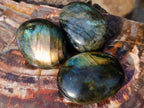Polished Mixed Multi Mineral Galets x 12 From Madagascar - Toprock Gemstones and Minerals 