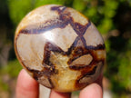 Polished Mixed Multi Mineral Galets x 12 From Madagascar - Toprock Gemstones and Minerals 