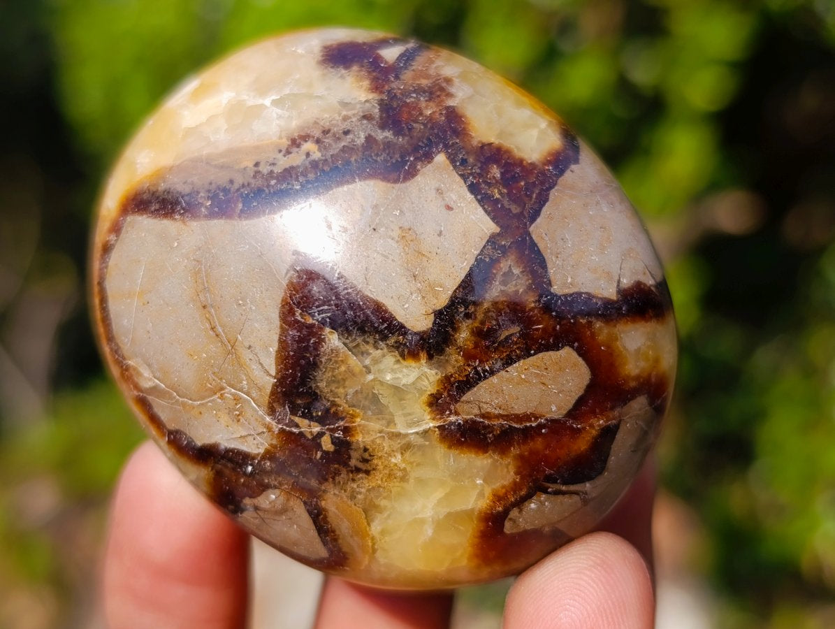 Polished Mixed Multi Mineral Galets x 12 From Madagascar - Toprock Gemstones and Minerals 