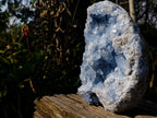 Natural Large Blue Celestite Geode Specimen x 1 From Sakoany, Madagascar - Toprock Gemstones and Minerals 