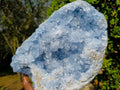 Natural Large Blue Celestite Geode Specimen x 1 From Sakoany, Madagascar - Toprock Gemstones and Minerals 