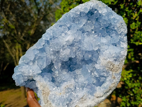 Natural Large Blue Celestite Geode Specimen x 1 From Sakoany, Madagascar - Toprock Gemstones and Minerals 