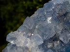 Natural Large Blue Celestite Geode Specimen x 1 From Sakoany, Madagascar - Toprock Gemstones and Minerals 