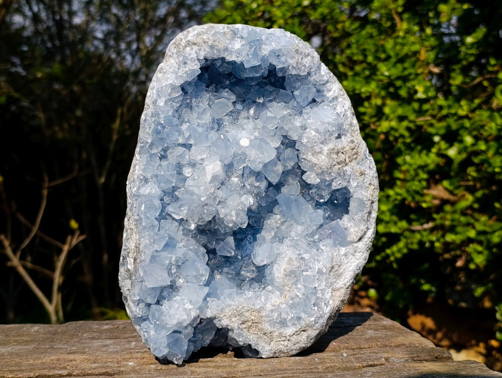Natural Large Blue Celestite Geode Specimen x 1 From Sakoany, Madagascar - Toprock Gemstones and Minerals 