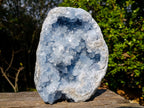 Natural Large Blue Celestite Geode Specimen x 1 From Sakoany, Madagascar - Toprock Gemstones and Minerals 