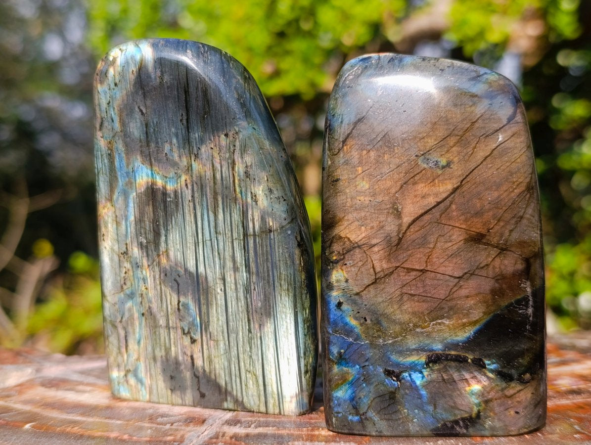 Polished Spectrolite Labradorite Standing Display Pieces x 6 From Madagascar - Toprock Gemstones and Minerals 