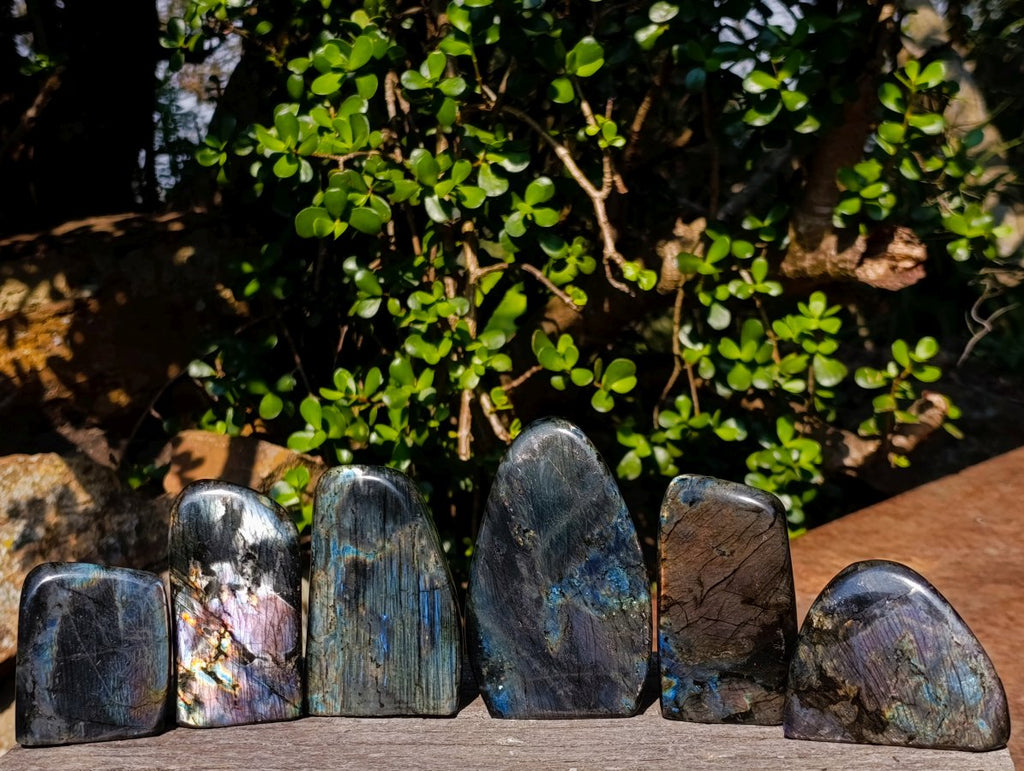 Polished Spectrolite Labradorite Standing Display Pieces x 6 From Madagascar - Toprock Gemstones and Minerals 