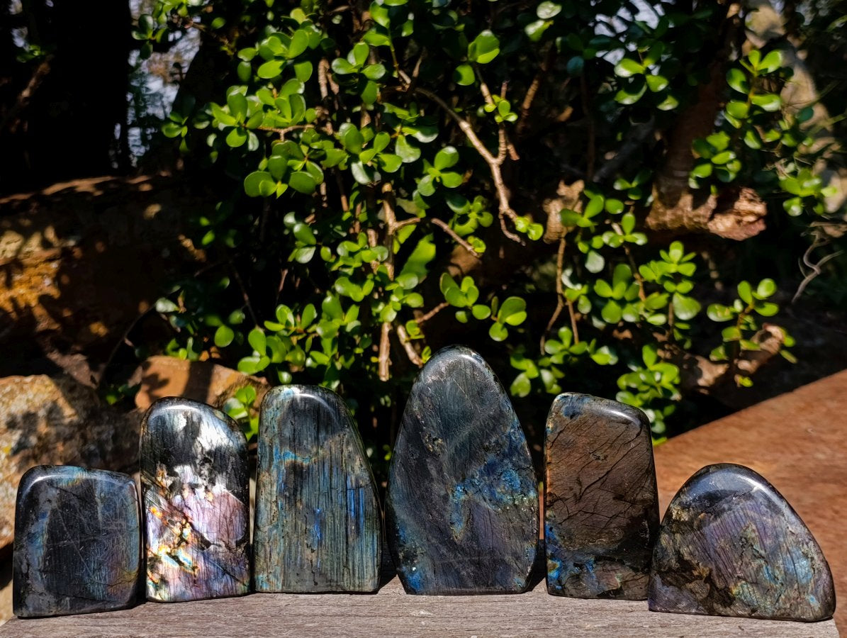 Polished Spectrolite Labradorite Standing Display Pieces x 6 From Madagascar - Toprock Gemstones and Minerals 