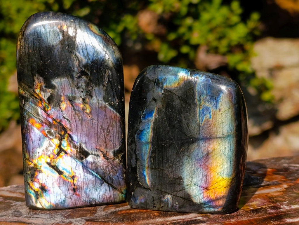Polished Spectrolite Labradorite Standing Display Pieces x 6 From Madagascar - Toprock Gemstones and Minerals 