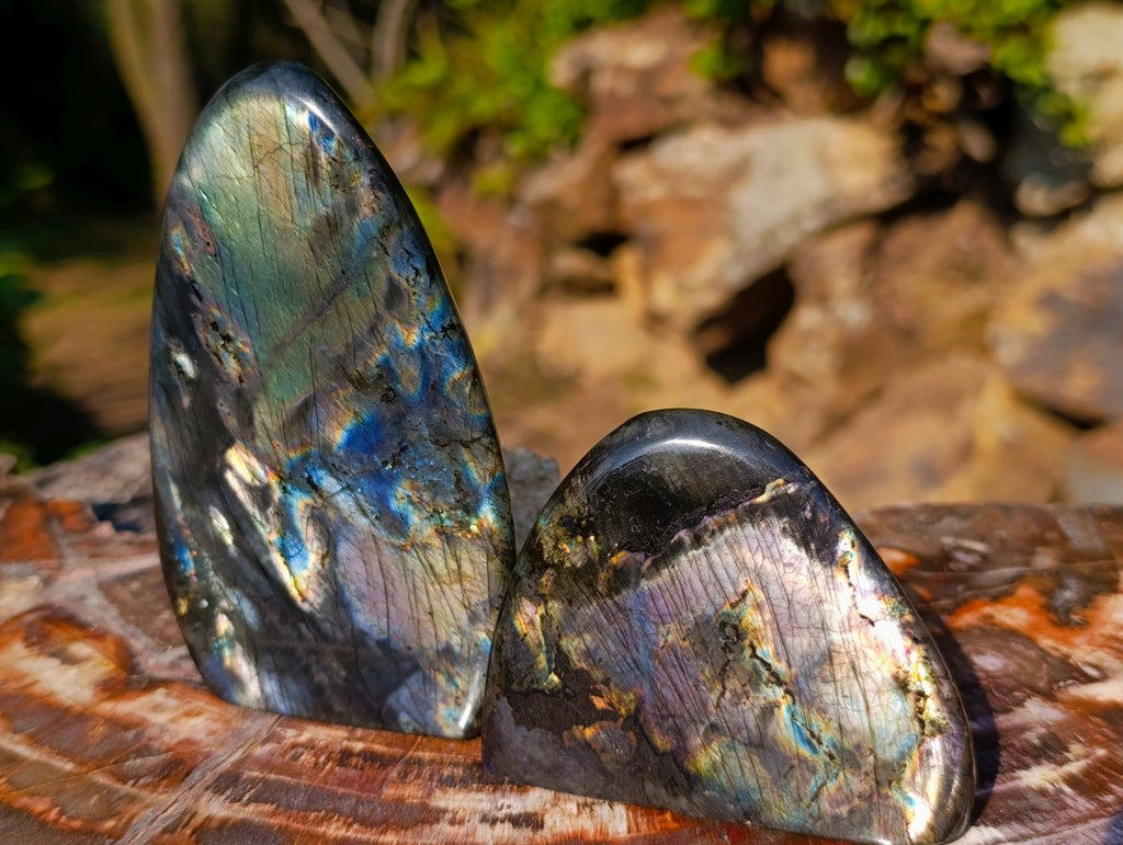 Polished Spectrolite Labradorite Standing Display Pieces x 6 From Madagascar - Toprock Gemstones and Minerals 