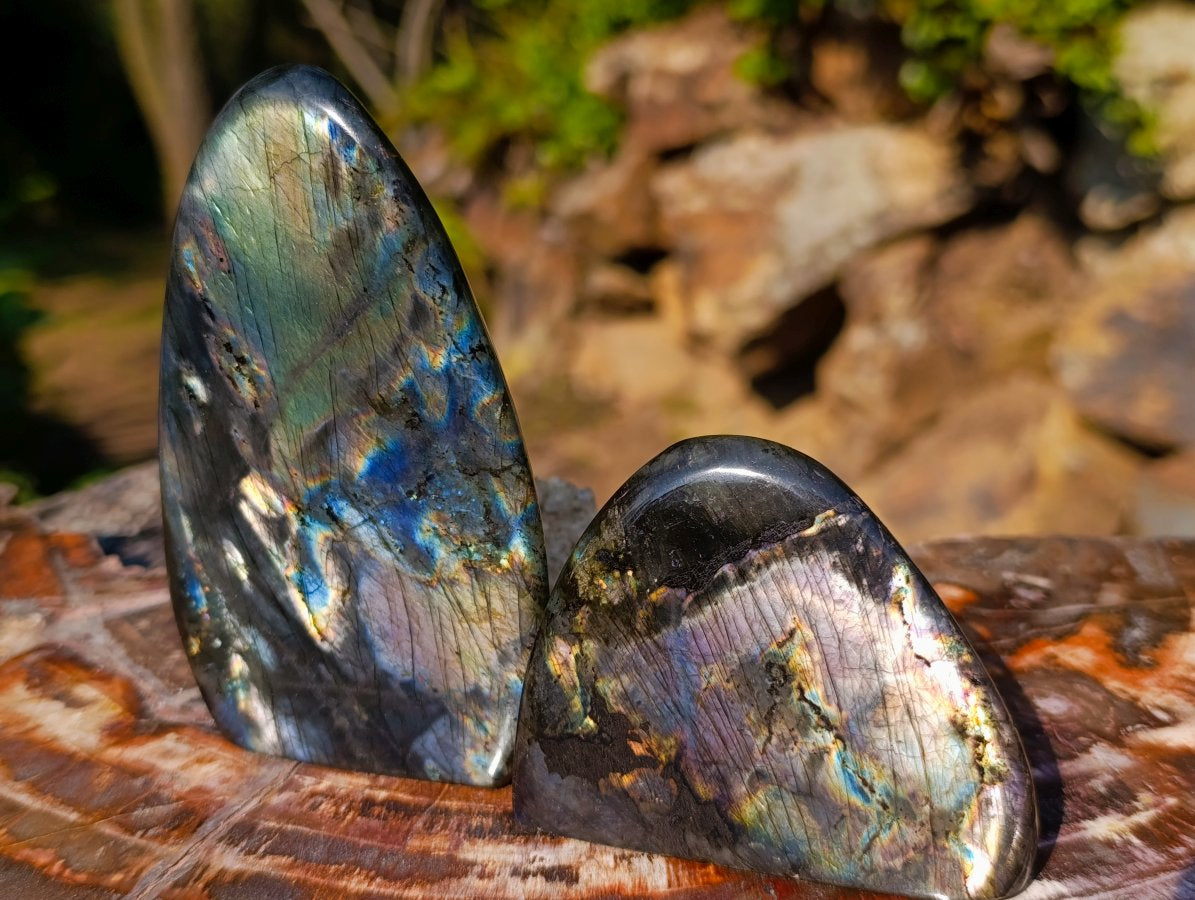 Polished Spectrolite Labradorite Standing Display Pieces x 6 From Madagascar - Toprock Gemstones and Minerals 