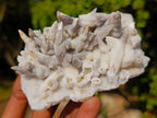 Natural Cabinet Sized Drusy Quartz Coated Black Tipped Calcite Pseudomorph Specimens x 3 From Albert's Mountain, Lesotho - Toprock Gemstones and Minerals 