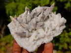 Natural Cabinet Sized Drusy Quartz Coated Black Tipped Calcite Pseudomorph Specimens x 3 From Albert's Mountain, Lesotho - Toprock Gemstones and Minerals 