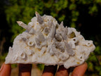 Natural Cabinet Sized Drusy Quartz Coated Black Tipped Calcite Pseudomorph Specimens x 3 From Albert's Mountain, Lesotho - Toprock Gemstones and Minerals 