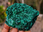 Natural Silky Malachite Specimens x 5 From Kasompe, Congo - Toprock Gemstones and Minerals 