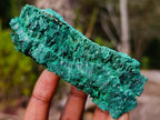 Natural Silky Malachite Specimens x 5 From Kasompe, Congo - Toprock Gemstones and Minerals 