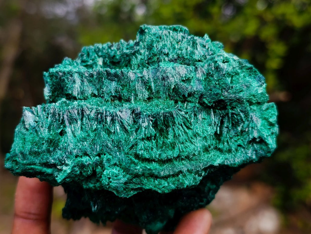 Natural Silky Malachite Specimens x 5 From Kasompe, Congo - Toprock Gemstones and Minerals 