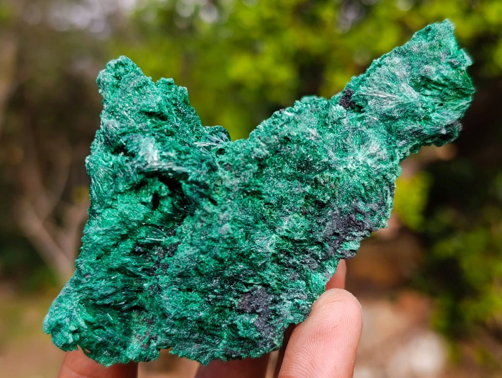 Natural Silky Malachite Specimens x 5 From Kasompe, Congo - Toprock Gemstones and Minerals 