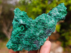 Natural Silky Malachite Specimens x 5 From Kasompe, Congo - Toprock Gemstones and Minerals 