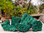 Natural Silky Malachite Specimens x 5 From Kasompe, Congo - Toprock Gemstones and Minerals 
