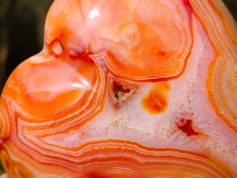 Polished Large Carnelian Agate Gemstone Hearts x 2 From Madagascar - Toprock Gemstones and Minerals 