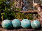 Polished Amazonite Spheres x 4 From Madagascar - Toprock Gemstones and Minerals 