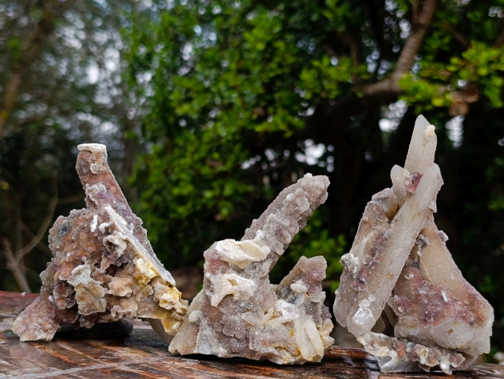 Natural Fairy Spirit Quartz Clusters x 12 From Boekenhouthoek, South Africa - Toprock Gemstones and Minerals 