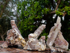 Natural Fairy Spirit Quartz Clusters x 12 From Boekenhouthoek, South Africa - Toprock Gemstones and Minerals 