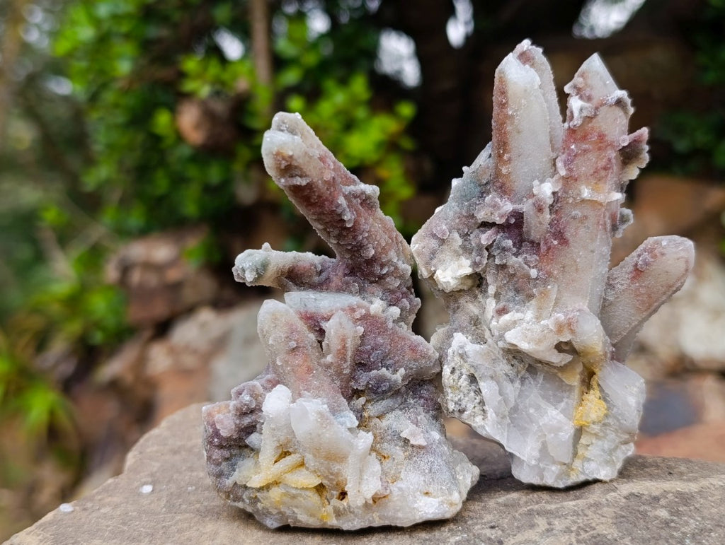 Natural Fairy Spirit Quartz Clusters x 12 From Boekenhouthoek, South Africa - Toprock Gemstones and Minerals 