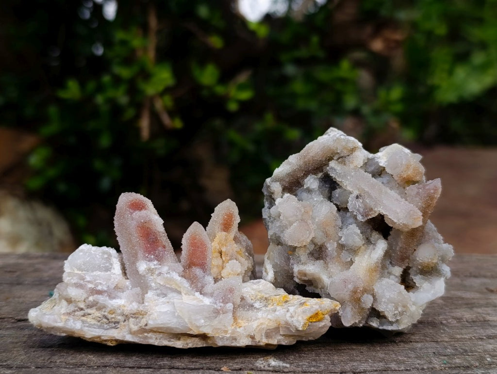 Natural Fairy Spirit Quartz Clusters x 12 From Boekenhouthoek, South Africa - Toprock Gemstones and Minerals 
