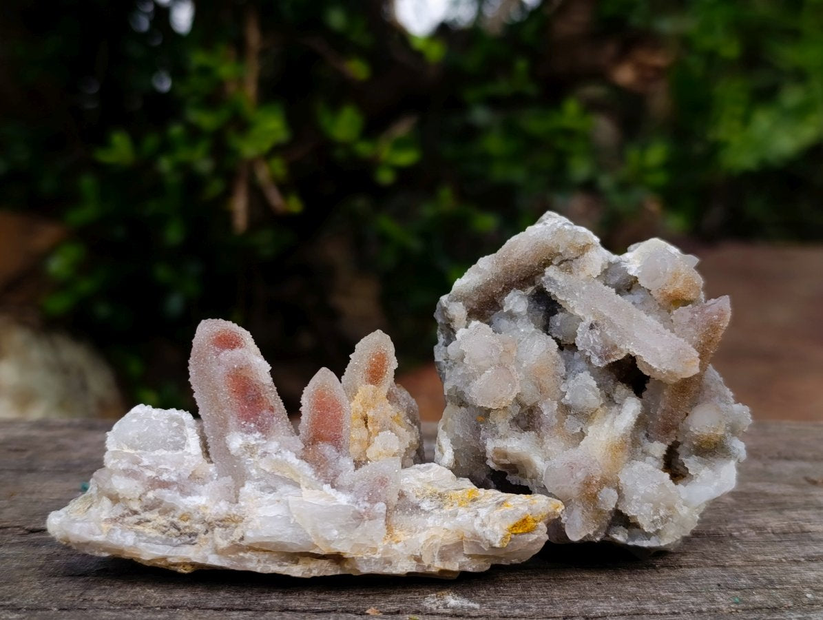 Natural Fairy Spirit Quartz Clusters x 12 From Boekenhouthoek, South Africa - Toprock Gemstones and Minerals 