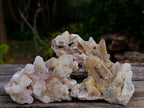 Natural Fairy Spirit Quartz Clusters x 12 From Boekenhouthoek, South Africa - Toprock Gemstones and Minerals 